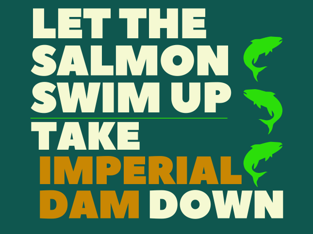 square that says "let the salmon swim up take imperial dam down" with three neon green salmon icons